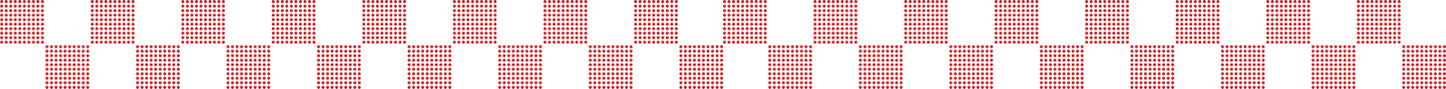 Red Checkered Divider.